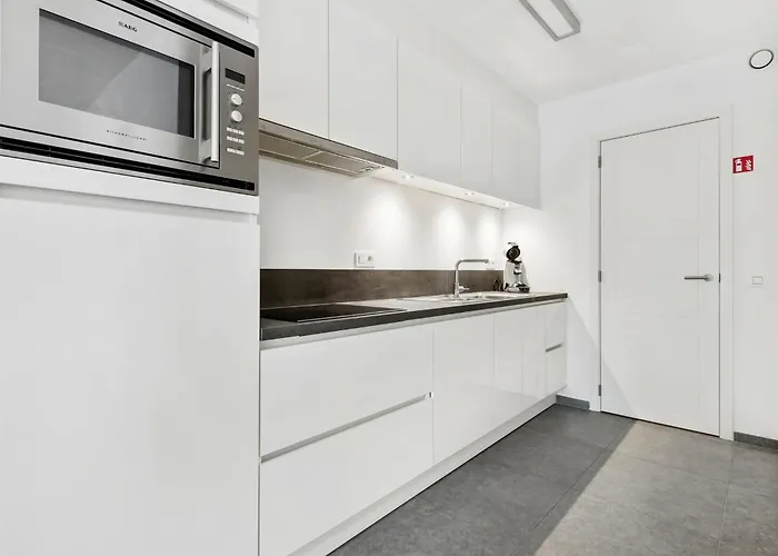 Zenith - 0105 布兰肯贝赫